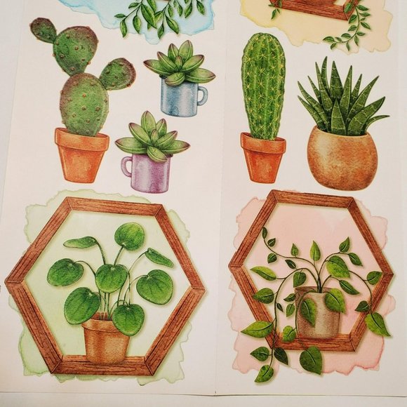 House Plant Wall Art, Succulents Cactus, Wall Stickers Decals, Succulent Decor - Picture 2 of 6